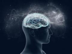 Ученые нашли удивительную особенность в мозге умных людей
