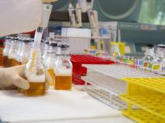 Doping experts were selected from specialists in Russia