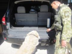In Sumy, border guards found drugs and cartridges