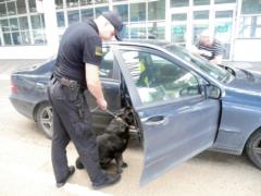 Border guards prevented the Pole from bringing into Ukraine psychotropics