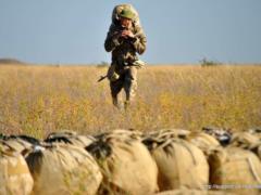  Залітний місяць ВСУ : Бутусов пояснив дезертирство в армії немотивированностью бійців