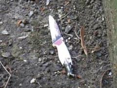 In Sumy, the police defused a woman who threatened to cut off her head to a hostage child