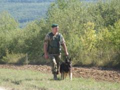 В горах Буковины собака пограничников помогла задержать нарушителя