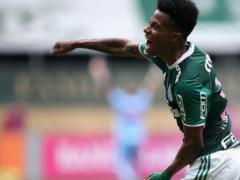 Dynamo signed player Palmeiras - media