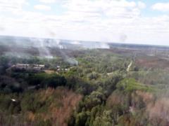 Умышленного поджога не было. Глава ГСЧС о пожаре в Чернобыльской зоне