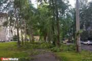 Шквалистый ветер и крупный град. Спасатели продлили штормовое предупреждение до четверга