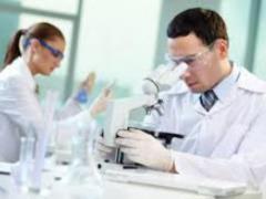 Ученые создали губку с невероятными свойствами