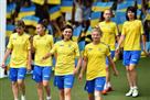 Women s national team of Ukraine defeated Sweden in the selection for the 2014 World Cup