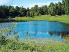 The expert told how many days you can not swim in lakes after heavy showers