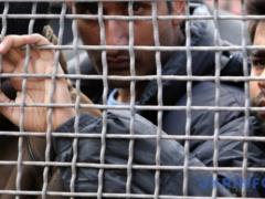 С начала года в Украине обнаружили более четырех тысяч нелегалов