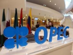 Заседание ОПЕК. В ОАЭ заявили, что решение по добыче нефти будет принято единогласно