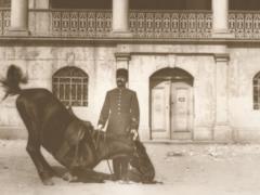More than 9 thousand archival photographs of the Middle East were posted in open access