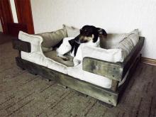 Wooden beds for four-legged animals: comfort, coziness and safety