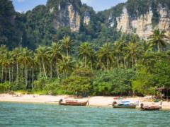 Thai authorities have forbidden tourists to sleep on the islands