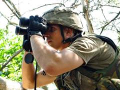  Has flown in a nest . Ukrainian fighters impressed the network with a masterful attack on the militants