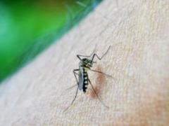 What will help protect themselves from mosquito bites, doctors said