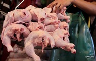In Kiev, fairs were banned from selling meat, fish and milk