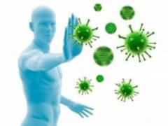Scientists have uncovered the amazing secret of the human immune system