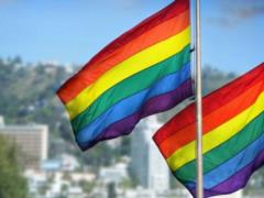 The Rada did not support the ban on public manifestations of sexual orientation