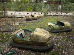 В Чернобыльской зоне изнасиловали иностранку