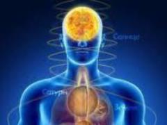 Incredible facts about the human body