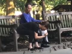In the US can not in any way neutralize a very strange hunter for sparrows