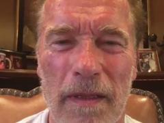Schwarzenegger called Trump  a little soggy macaroni 