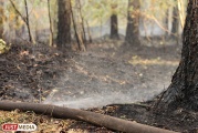The area can cover violent fires! The Urals weather forecasters announced a storm warning due to the heat