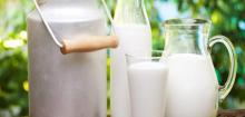 Cheese does not raise the level of cholesterol in the blood