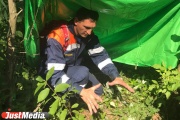 Можна їсти кору сосни і пити росу з подорожника. ПРАВИЛА виживання в лісі