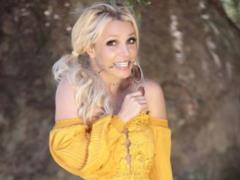 Because of the incident with Demi Lovato, the Britney Spears team refused alcohol - the media