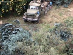 More than 200 trees cut down on the Gagarin plateau