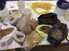 In Volhynia, border guards found more than 60 kilograms of  solar stone 
