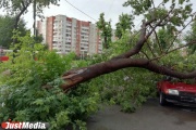 До четверга синоптики обіцяють свердловчанам зливи й ураганний вітер