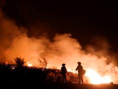 У Каліфорнії арештований палій лісів