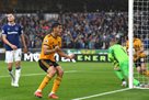 Wolverhampton - Everton 2: 2 Video goals and the review of the match