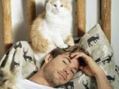 Коты продлевают жизнь мужчинам