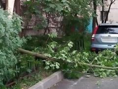 В Питере наступил апокалипсис