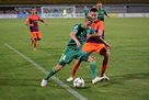 Пердута: С Александрией будет много борьбы