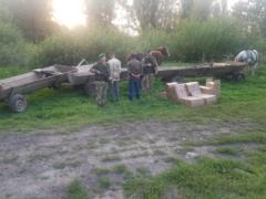 На Буковині затримали кінний караван з контрабандними сигаретами