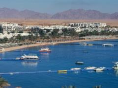 The strange death of tourists in Egypt caused panic