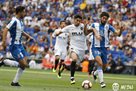 Valencia lost to Hispaniola