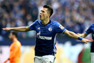 Linnet - in Schalke s application for the group stage of the Champions League