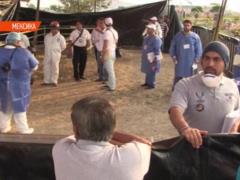 Remains of 166 people found in a secret burial in Mexico