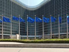 Sanctions against the Russian Federation will last until May