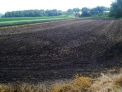 Kharkov officials illegally transferred to the ownership of 45 hectares of university land