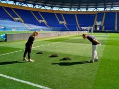 In the  Miner  found a mole, who spoiled the lawn before the match of the Champions League