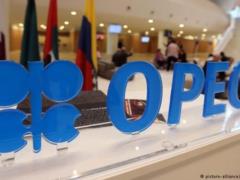 ОПЕК выступила против снижения цен на нефть