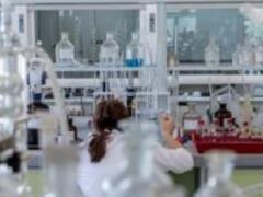 Ученые нашли стволовые клетки костей в теле человека