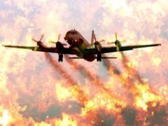Americans called the perpetrators of the crash of the IL-20 in Syria